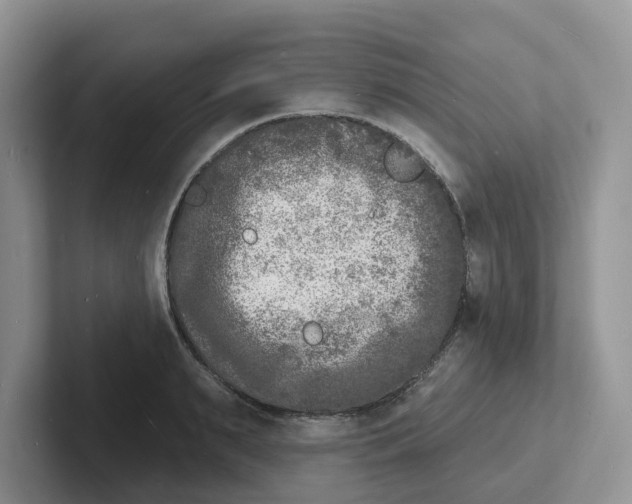 X0000101700895200807311429