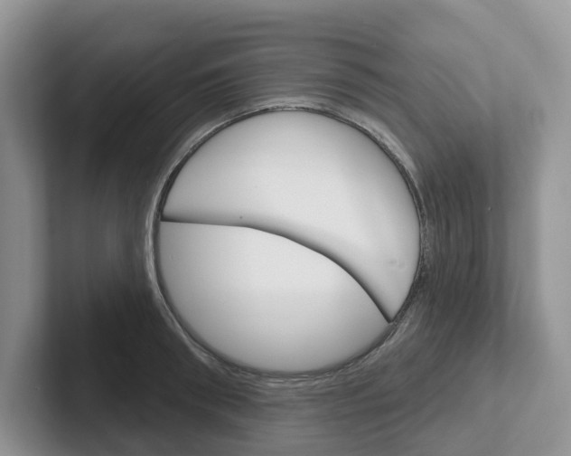 X0000101700898200807311429