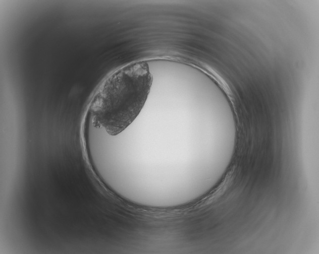 X0000101700899200807311429