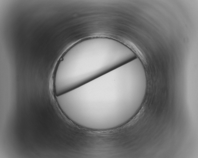 X0000101700900200807311429