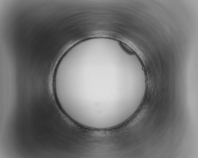 X0000101700901200807311429