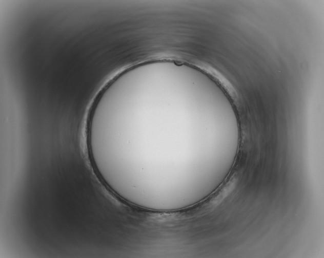 X0000101700902200807311429