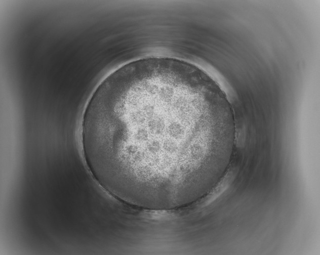 X0000101700903200807311429