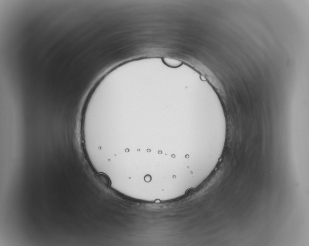 X0000101700904200807311429