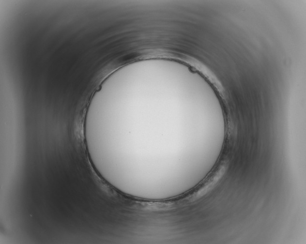 X0000101700905200807311429