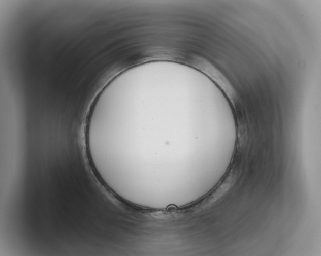 X0000101700906200807311429