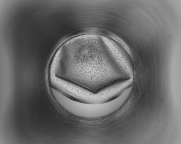 X0000101700907200807311429