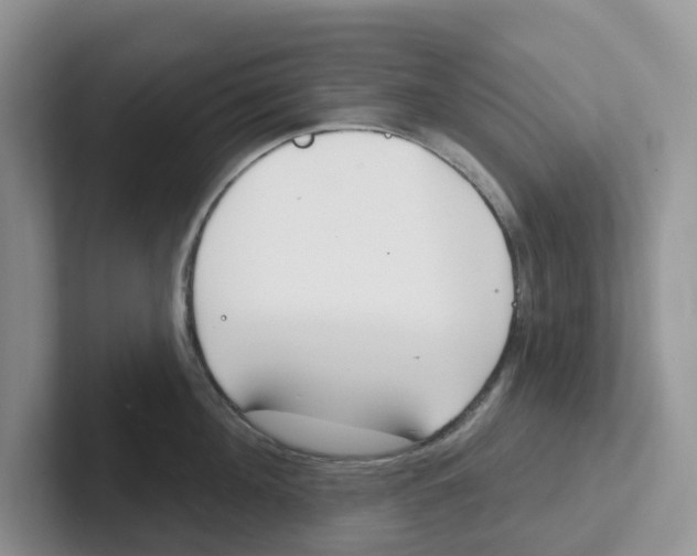 X0000101700908200807311429