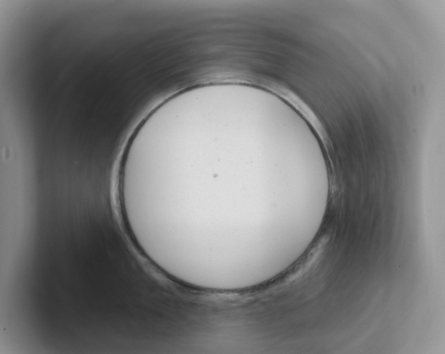 X0000101700909200807311429