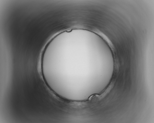 X0000101700910200807311429