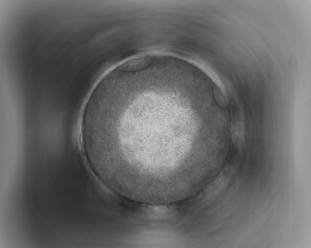 X0000101700911200807311429