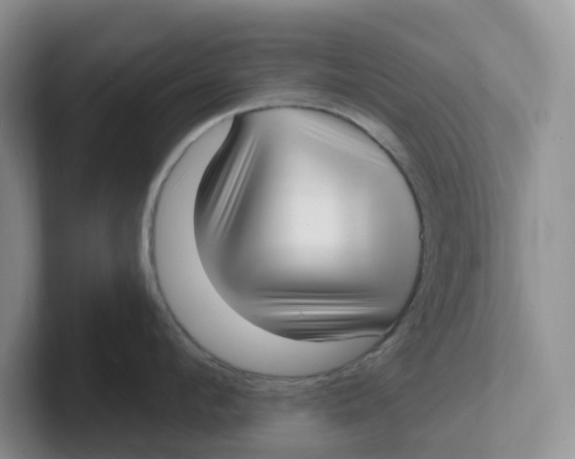 X0000101700912200807311429