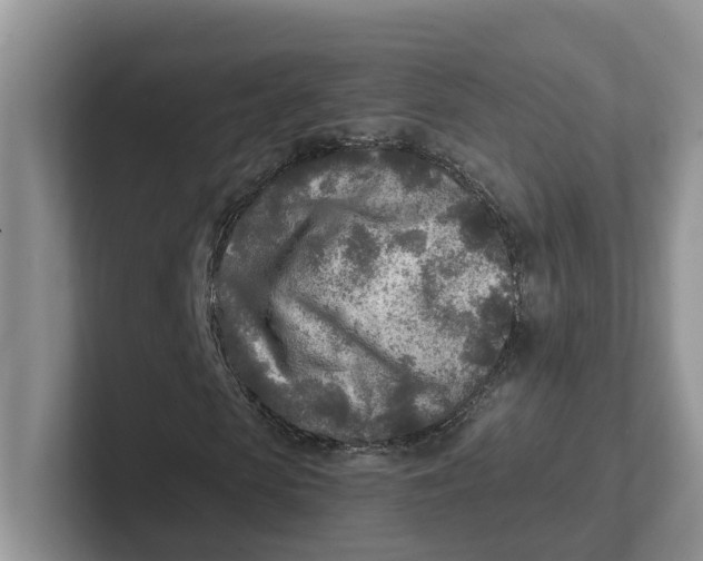 X0000101700913200807311429