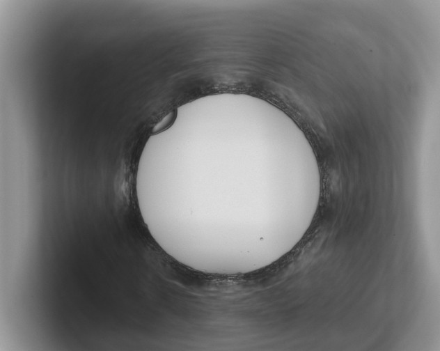 X0000101700914200807311429