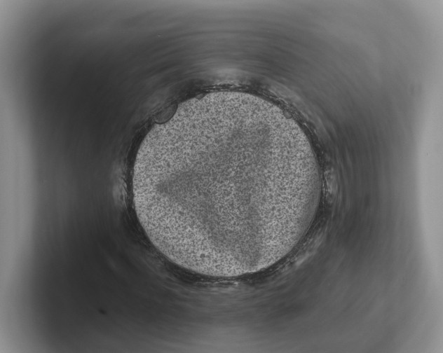 X0000101700916200807311429