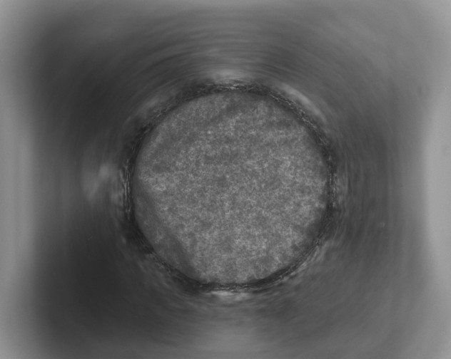 X0000101700917200807311429