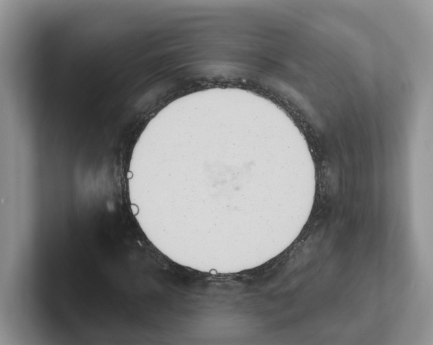 X0000101700918200807311429