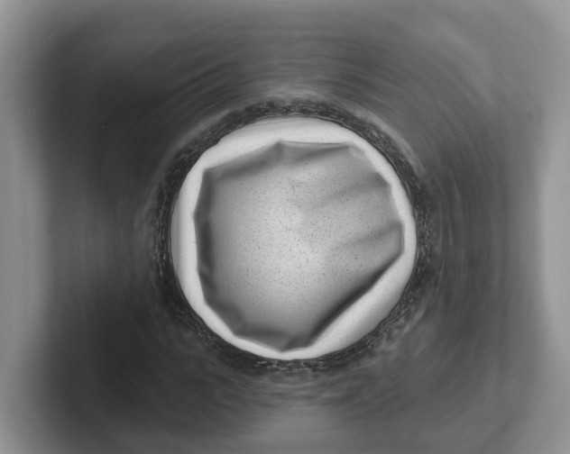 X0000101700919200807311429