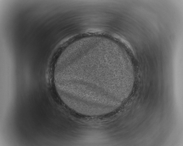 X0000101700920200807311429