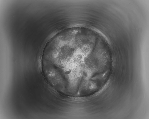 X0000101700921200807311429