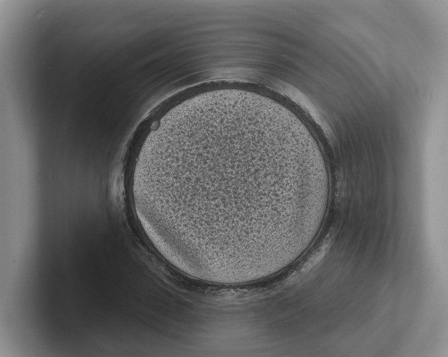 X0000101700923200807311429