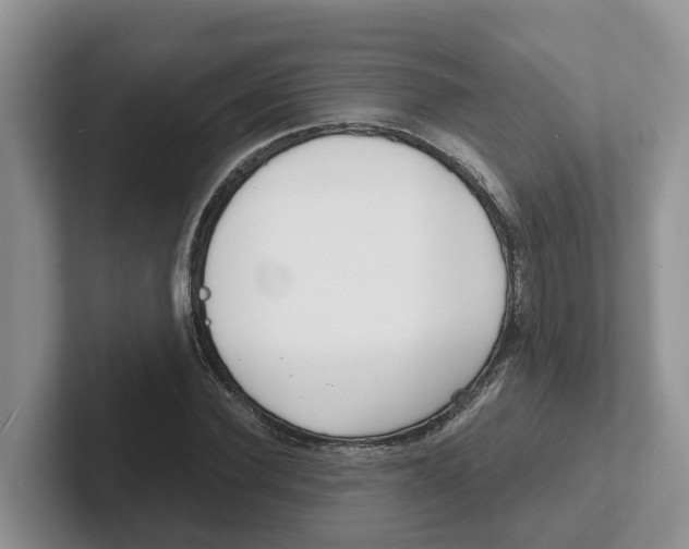 X0000101700924200807311429