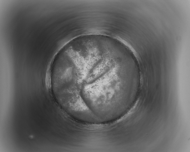 X0000101700925200807311429