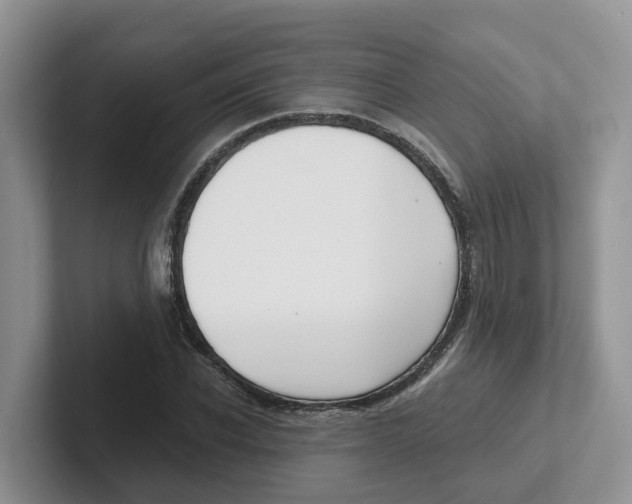 X0000101700926200807311429