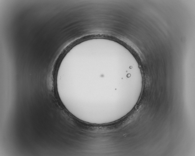 X0000101700927200807311429