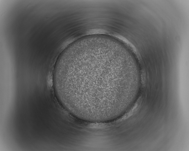 X0000101700929200807311429