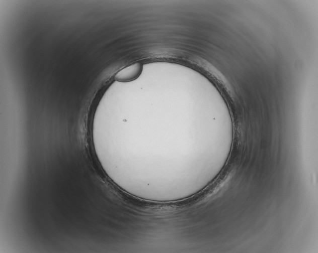 X0000101700930200807311429