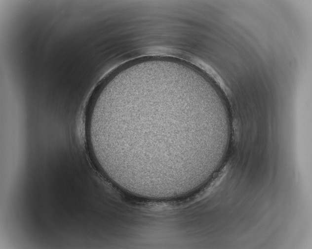 X0000101700931200807311429