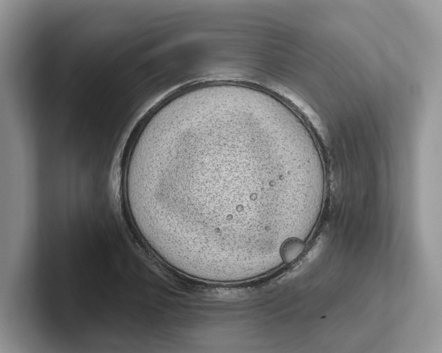 X0000101700933200807311429