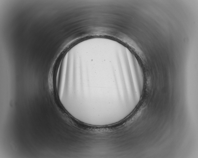 X0000101700934200807311429