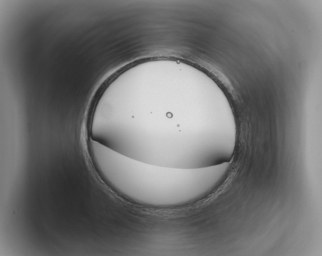 X0000101700936200807311429