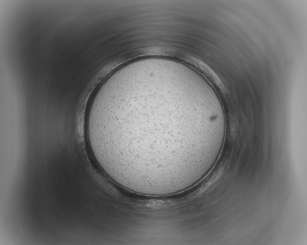 X0000101700938200807311429