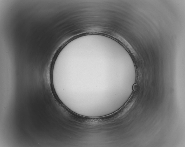 X0000101700939200807311429