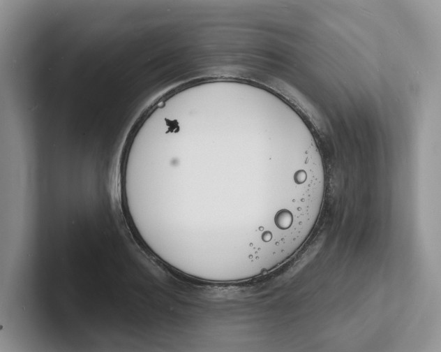 X0000101700940200807311429