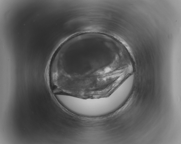 X0000101700941200807311429