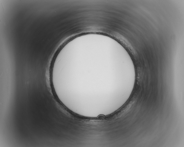 X0000101700942200807311429