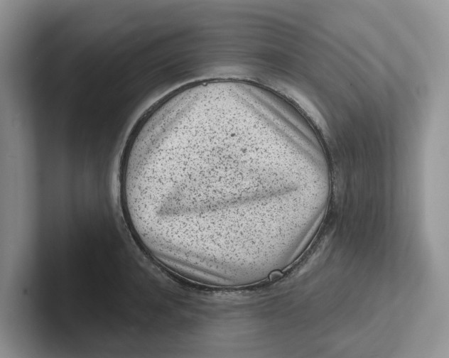 X0000101700944200807311429