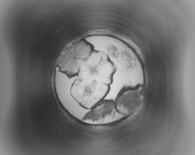 X0000101700945200807311429