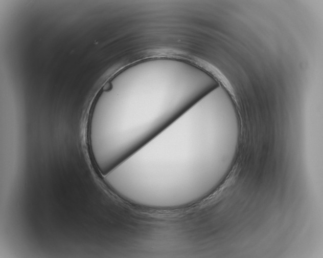 X0000101700946200807311429