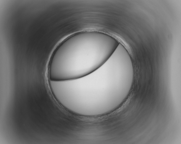 X0000101700948200807311429