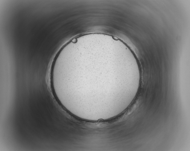 X0000101700949200807311429