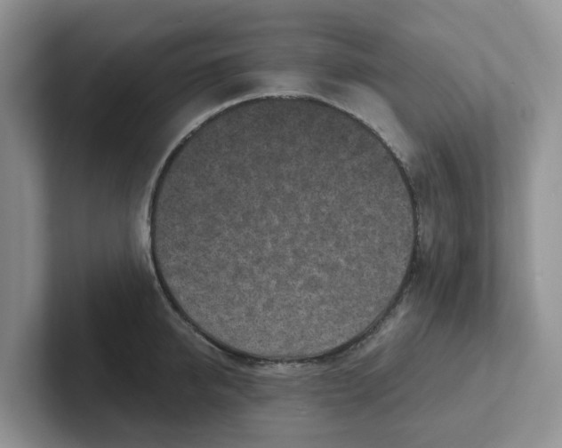 X0000101700950200807311429