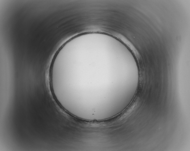 X0000101700951200807311429