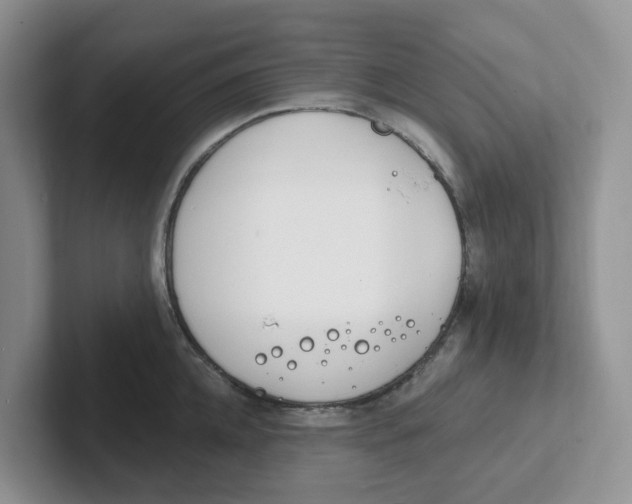 X0000101700952200807311429