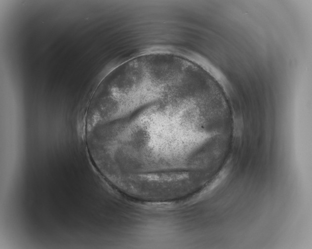 X0000101700953200807311429