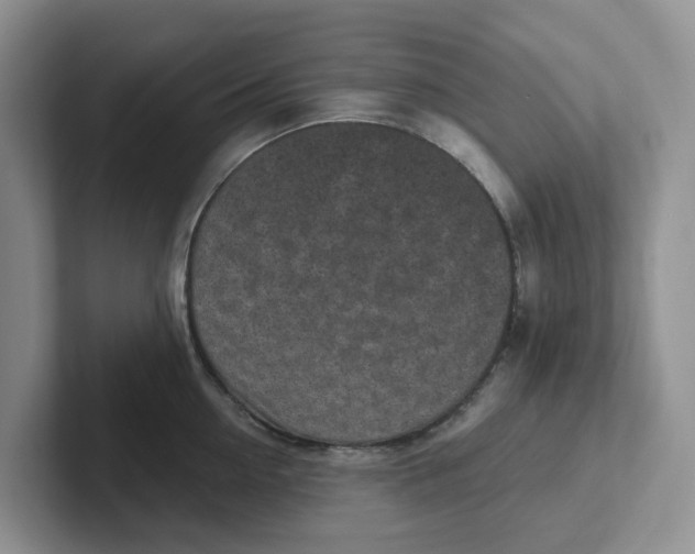 X0000101700954200807311429